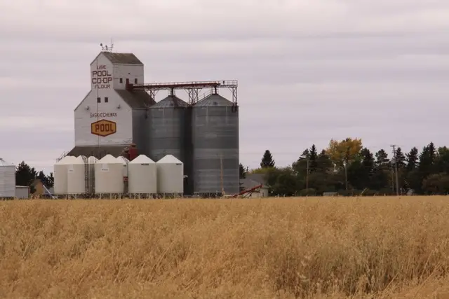 Pool grain elevator beside a wheat field
